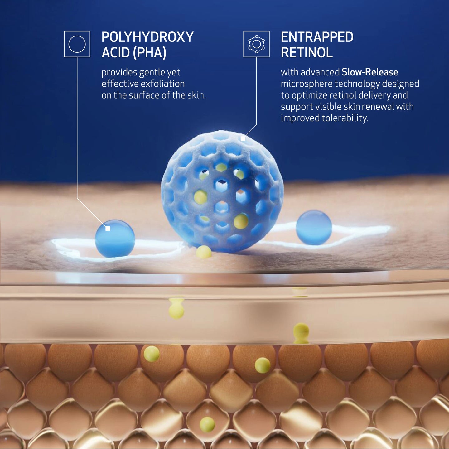 Retinol + PHA includes Polyhydroxy Acid and Entrapped Retinol to provide gentle yet effective exfoliation. Product infographic image